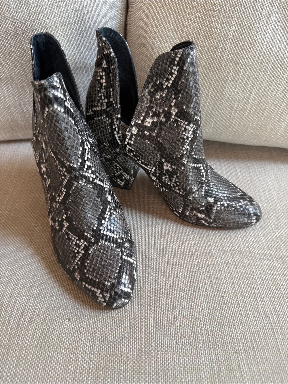 Steve Madden Black and Gray Snake-Print Pointed Ankle Booties
